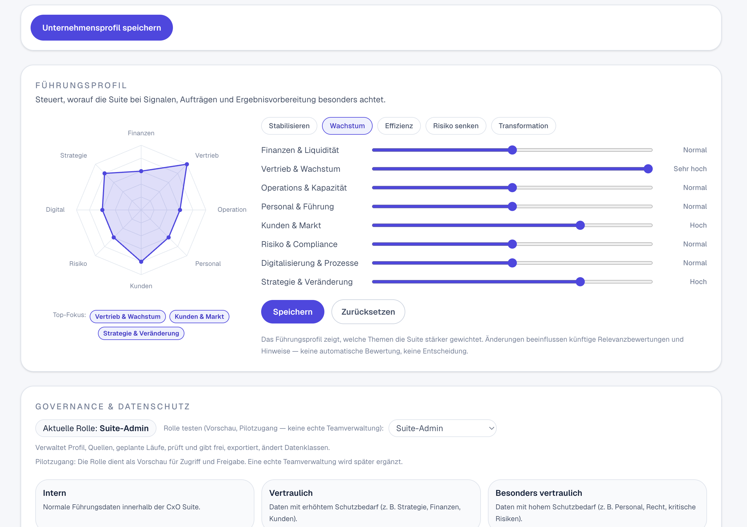 Führungsprofil und Governance in der drilic CxO Suite: Schwerpunktprofil mit Radar und Slidern, Top-Fokus sowie Rollen und Datenklassen.